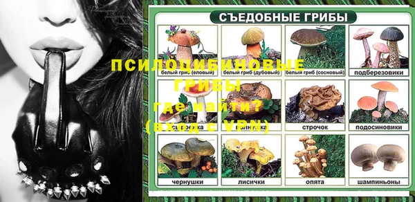 спайс Медногорск