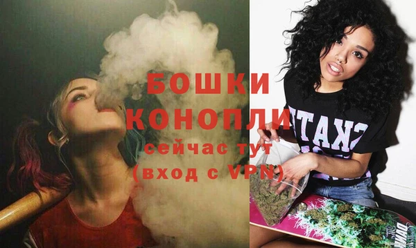 стафф Мегион