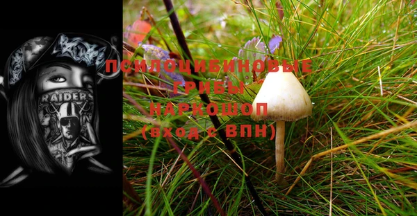 мяу мяу кристалл Медвежьегорск
