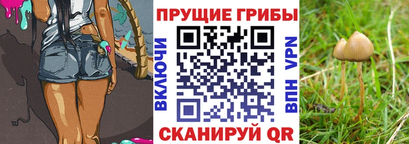 Галлюциногенные грибы прущие грибы  наркошоп  Чердынь 